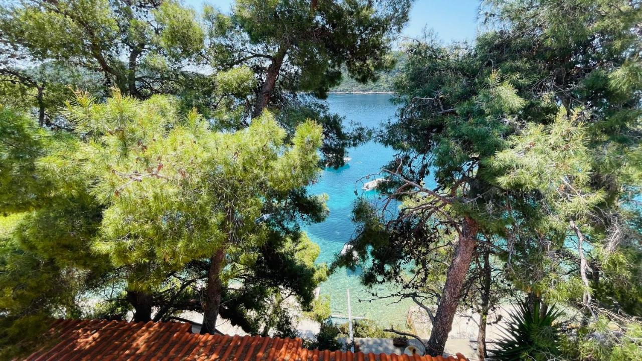 פריזבה Lovely Apartments On The Private Beach - Island Korcula מראה חיצוני תמונה