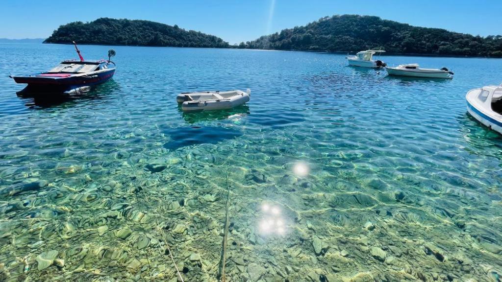 פריזבה Lovely Apartments On The Private Beach - Island Korcula מראה חיצוני תמונה